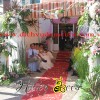 cong hoa tuoi 2.jpg